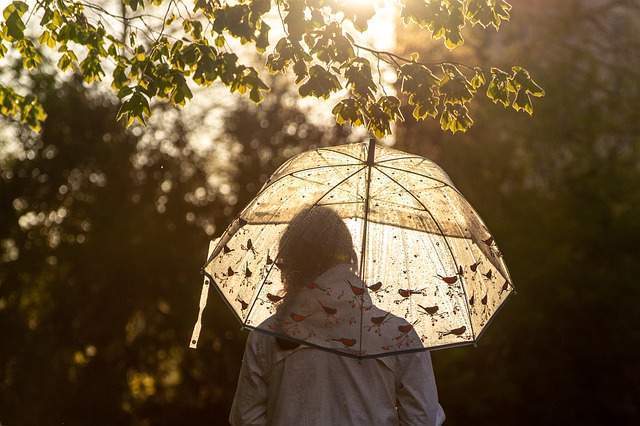 Umbrella dream symbol