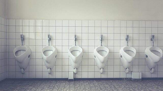 Dream of a toilet