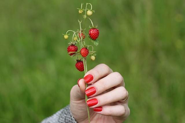 Strawberries dream symbol