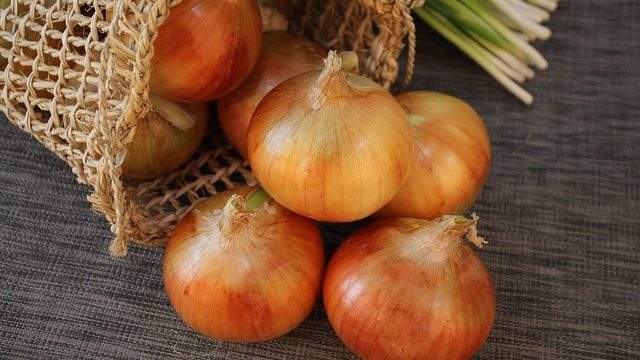 Dream of an onion