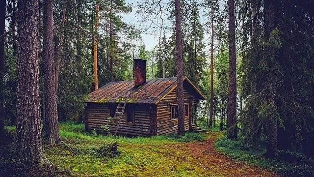 Dreaming of a cabin
