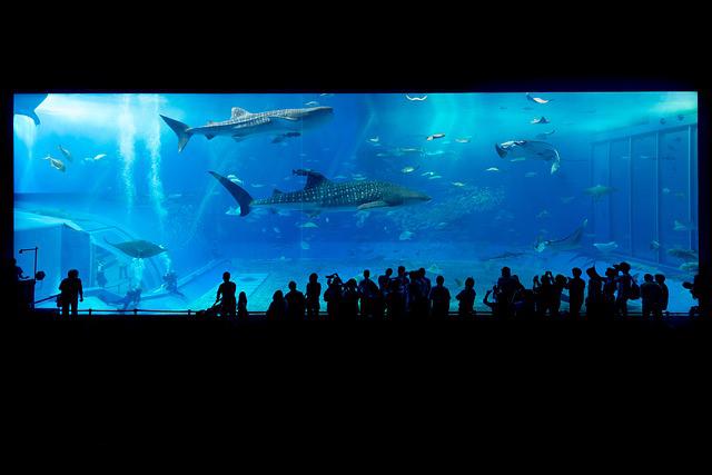 aquarium dream interpretation