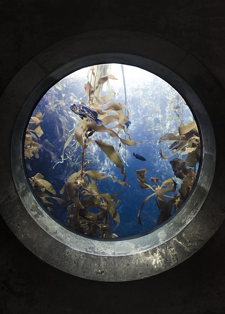 aquarium dream meaning